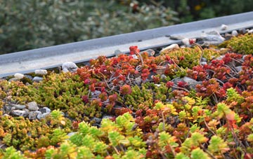 the cost of Higher Cransworth green roof installation