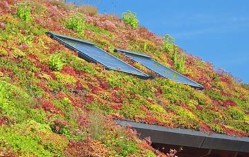 Higher Cransworth living roof systems